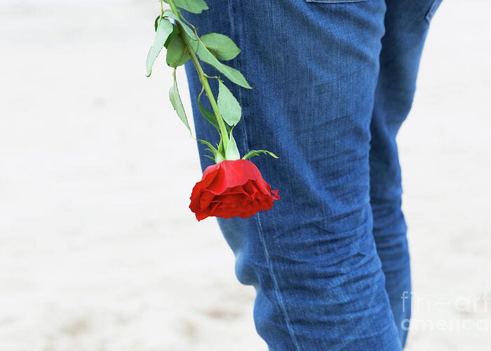 Love Greeting Card featuring the photograph Man with a rose behind his back waiting for love. Romantic date on the beach by Michal Bednarek