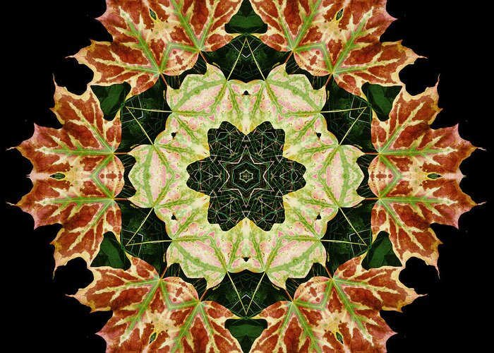 Autumn Greeting Card featuring the photograph Mandala Autumn Star by Nancy Griswold