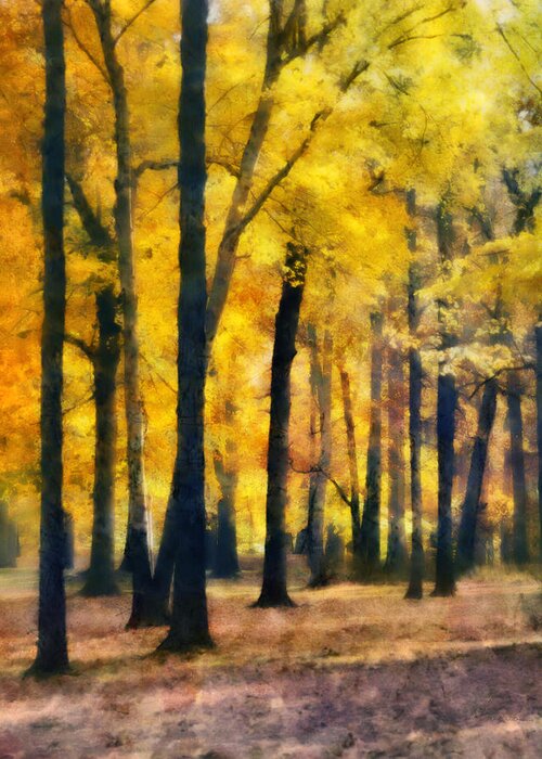 Maple; Grove; Autumn; Color; Stand; Trees; Fall; Season; Leaves; Change; Changing; Orange; Golden; Forest; Woods Greeting Card featuring the digital art Maple Grove in Autumn by Frances Miller