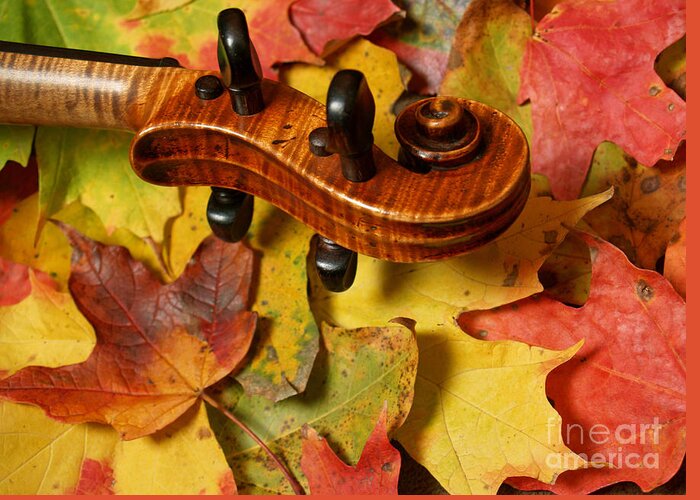 Violin Greeting Card featuring the photograph Maple Violin Scroll on Fall Maple Leaves by Anna Lisa Yoder