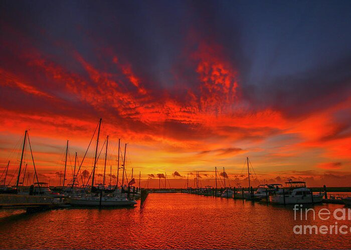 Sun Greeting Card featuring the photograph Marina Sunrise - Ft. Pierce by Tom Claud
