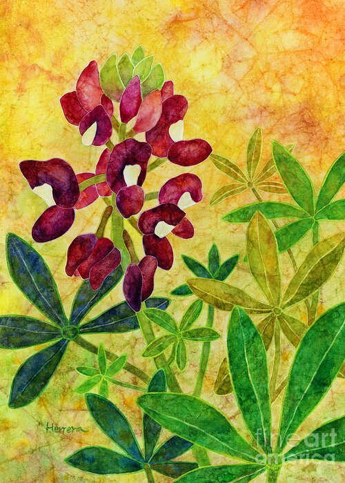 Bluebonnet Greeting Card featuring the painting Maroon Bluebonnet by Hailey E Herrera