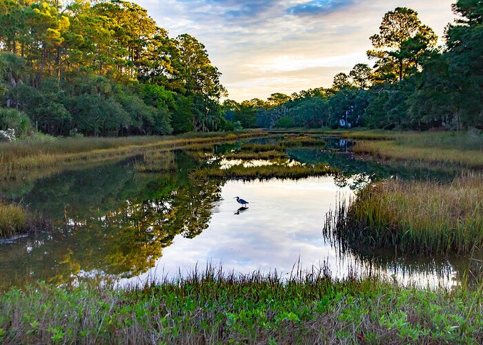 Seabrook Island Greeting Card featuring the photograph Marsh in the Morning by Patricia Schaefer