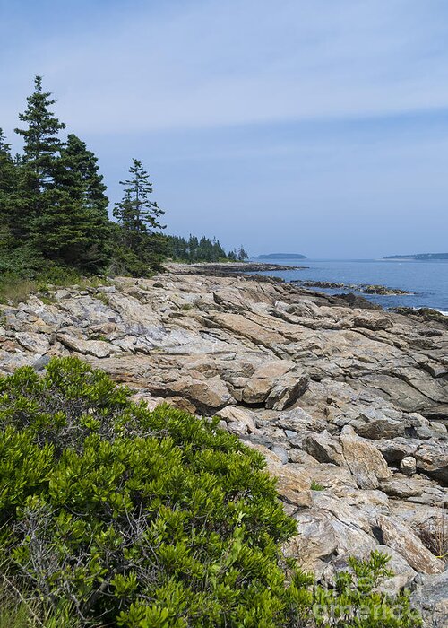 Rocky Shore Greeting Card featuring the photograph Marshall Ledge looking downeast by Patrick Fennell
