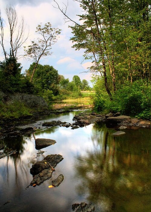 Water Greeting Card featuring the photograph Martin Stream VII by Greg DeBeck
