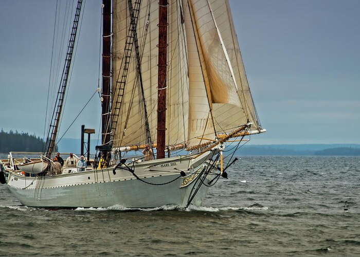 Schooner Greeting Card featuring the photograph Mary Day 2 by Fred LeBlanc