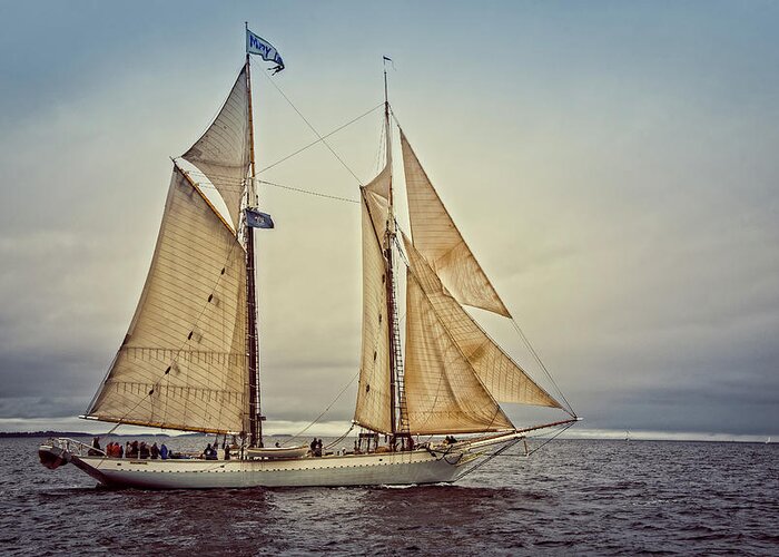 Schooner Greeting Card featuring the photograph Mary Day 3 by Fred LeBlanc
