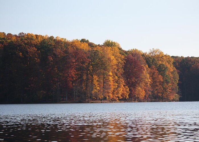 Maryland Greeting Card featuring the photograph Maryland Autumns - Clopper Lake - Fall Bloom by Ronald Reid