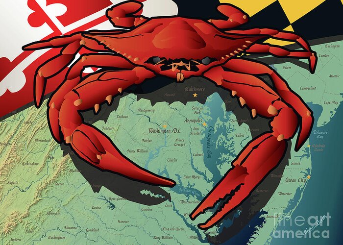Crab Greeting Card featuring the digital art Maryland Red Crab by Joe Barsin