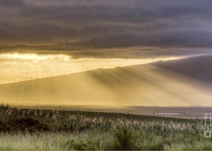 Rays Of Light Greeting Card featuring the photograph Maui Sunset God Rays by Dustin K Ryan