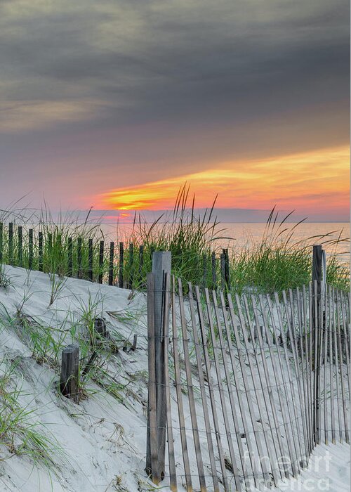 Sand Greeting Card featuring the photograph Mayflower Beach by Mike Ste Marie