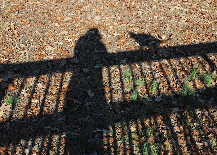 Shadow Greeting Card featuring the photograph Me and My Shadow by Ali Baucom