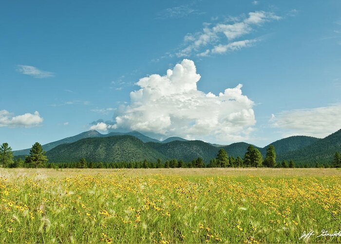 Arizona Greeting Card featuring the photograph Meadow of Sunflowers and the San Francisco Peaks by Jeff Goulden