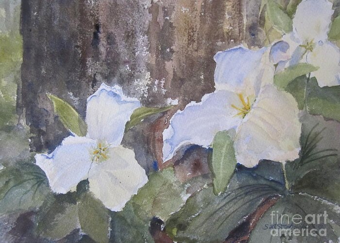 Trillium Greeting Card featuring the painting Meaghan's Trillium by Sandra Strohschein