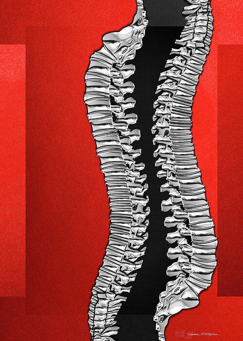 ‘memento Mori’ Collection By Serge Averbukh Greeting Card featuring the digital art Memento Mori - Two Sets of Silver Human Backbones over Red and Black by Serge Averbukh