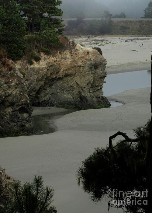 Mendocino Dreaming Greeting Card featuring the photograph Mendocino Beach by Mary Kobet