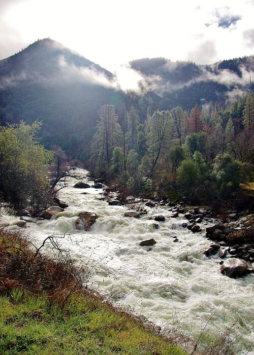 Merced River Greeting Card featuring the photograph Mercrd River Ca A by Phyllis Spoor