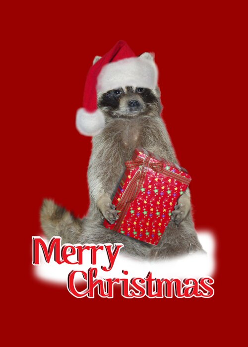  Merry Christmas Greeting Card featuring the digital art Merry Christmas - Raccoon by Gravityx9 Designs