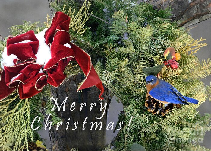Nature Greeting Card featuring the photograph Merry Christmas Wreath by Nava Thompson