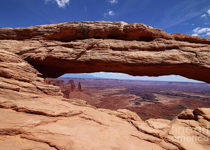 Canyon Greeting Card featuring the photograph Mesa Arch View by Christiane Schulze Art And Photography