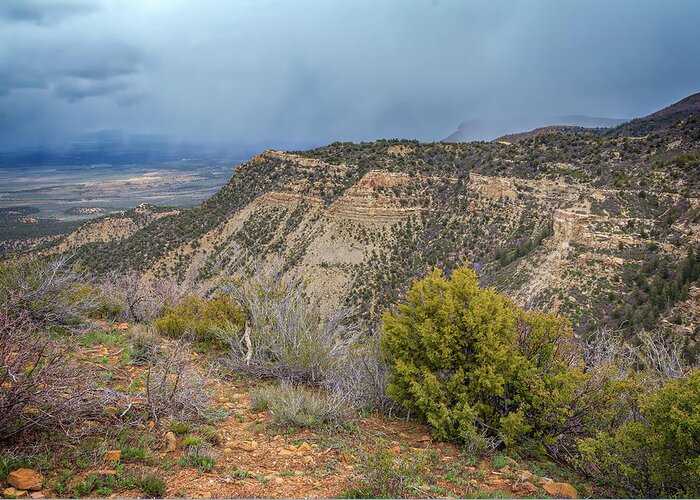 Joan Carroll Greeting Card featuring the photograph Mesa Verde National Park Colorado USA by Joan Carroll