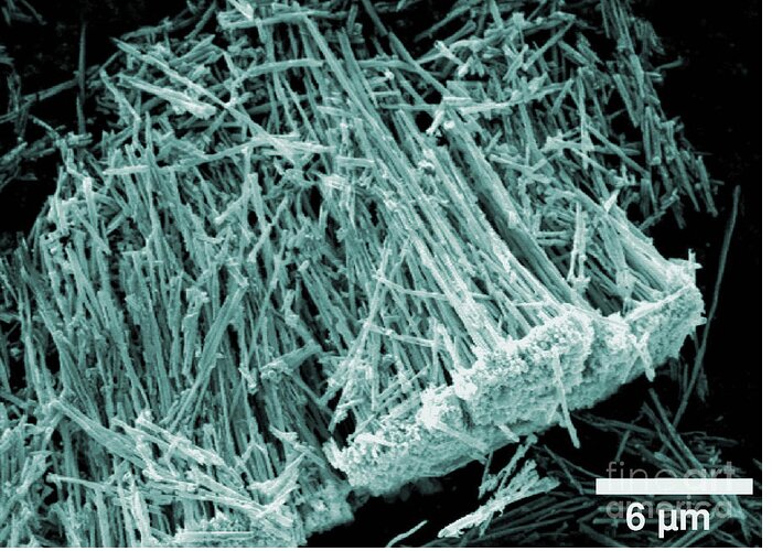 Science Greeting Card featuring the photograph Metal-oxide Nanotubes, Sem by Cho/NIST