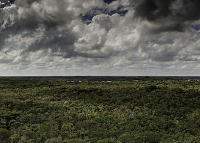 Jungle Greeting Card featuring the photograph Mexican Jungle Panoramic by Jason Moynihan