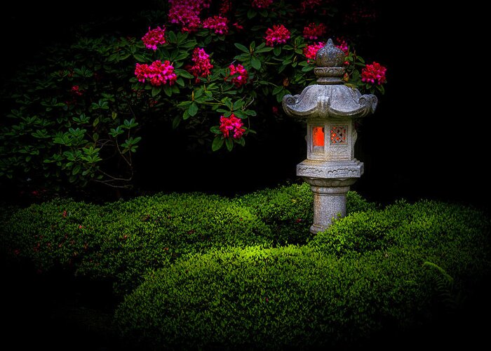Japanese Garden Greeting Card featuring the photograph Midnight Glow by Briand Sanderson
