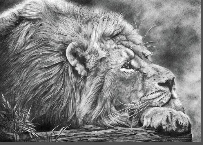 Lion Greeting Card featuring the drawing Miles Away by Peter Williams