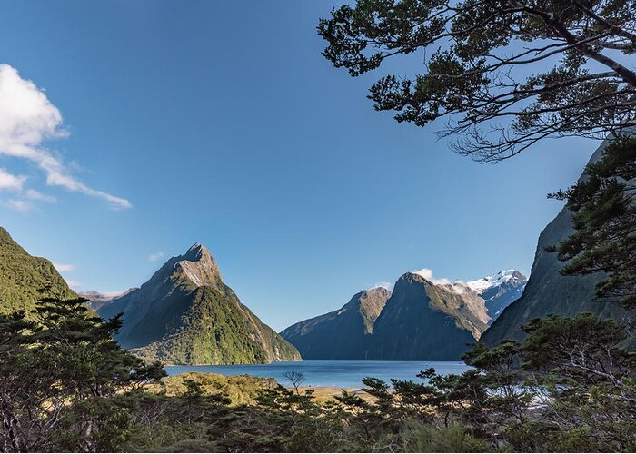 Milford Sound Greeting Card featuring the photograph Milford Sound overlook by Gary Eason