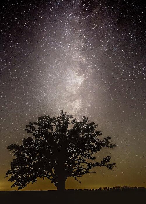Milky Way Greeting Card featuring the photograph Milky Way over McBaine Oak by Harold Rau