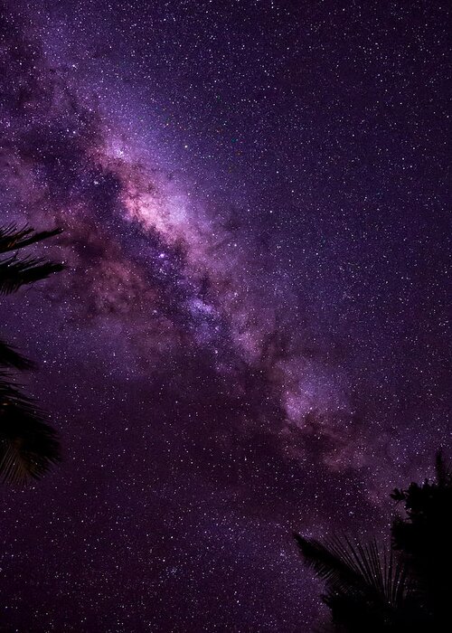 Astrophotography Greeting Card featuring the photograph Milky Way Over Mission Beach Vertical by Avian Resources