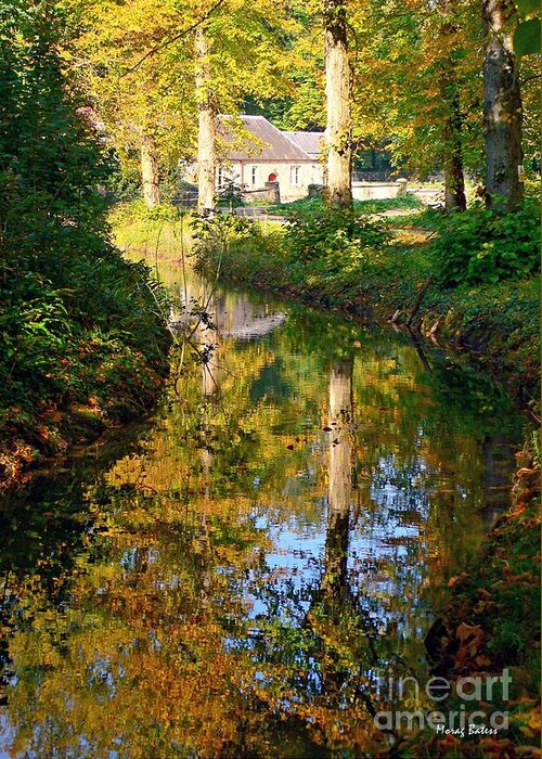 arundel Greeting Card featuring the photograph Mill Brook, Arundel by Morag Bates