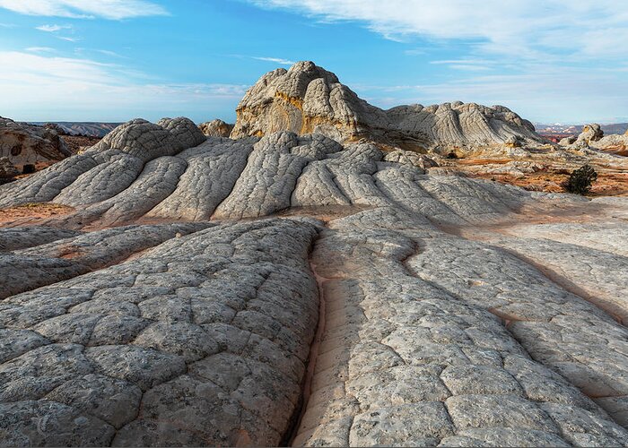 Arizona Greeting Card featuring the photograph Mind over Matter by Chuck Jason