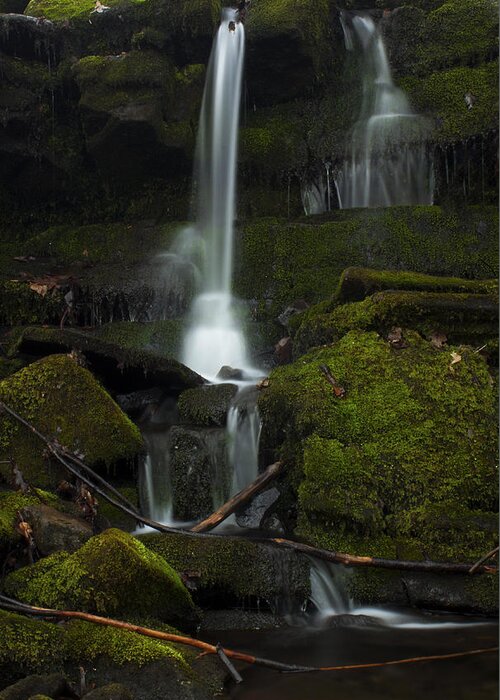 Waterfall Greeting Card featuring the photograph Mini Waterfall in the Forest by Jeff Severson