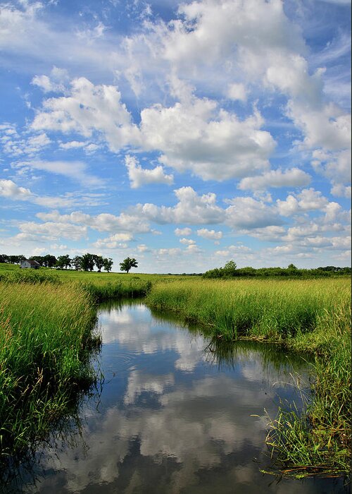 Glacial Park Greeting Card featuring the photograph Mirror Image of Clouds in Glacial Park Wetland by Ray Mathis