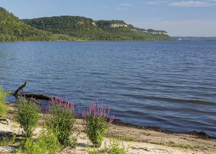River Greeting Card featuring the photograph Mississippi River Lake Pepin 5 by John Brueske