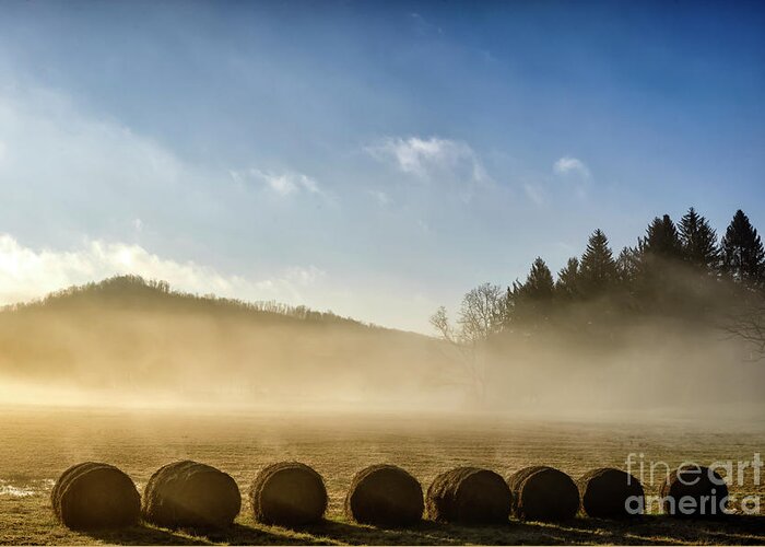 Sunrise Greeting Card featuring the photograph Misty Country Morning by Thomas R Fletcher