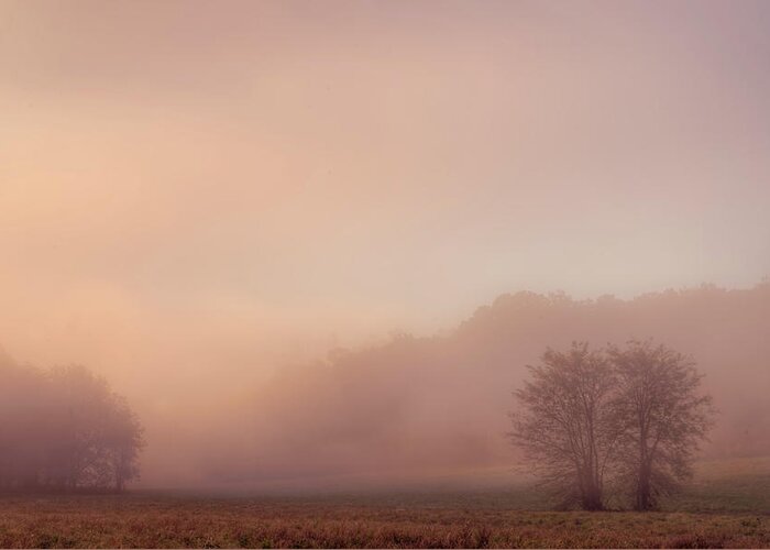 Mist Greeting Card featuring the photograph Misty Dawn by Robert Charity