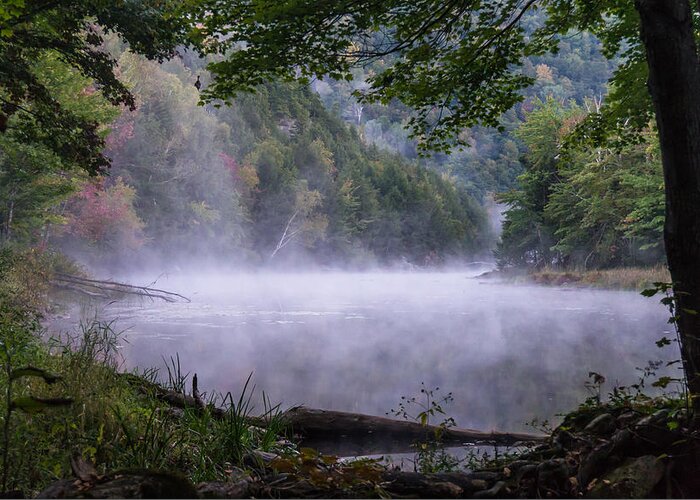 Mist Greeting Card featuring the photograph Misty Morning At Pond's Shore by Ann Moore