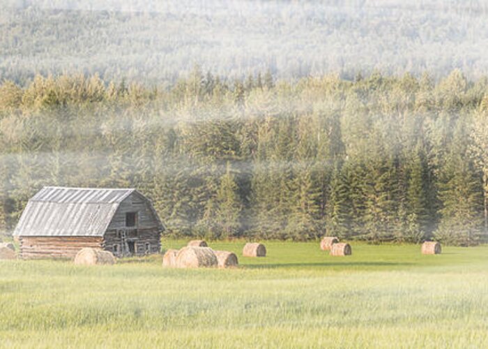 Hay Greeting Card featuring the photograph Misty Morning Haybales by Patti Deters