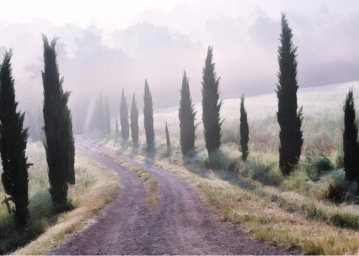 Tuscany Greeting Card featuring the photograph Misty Morning in Tuscany by Marion McCristall