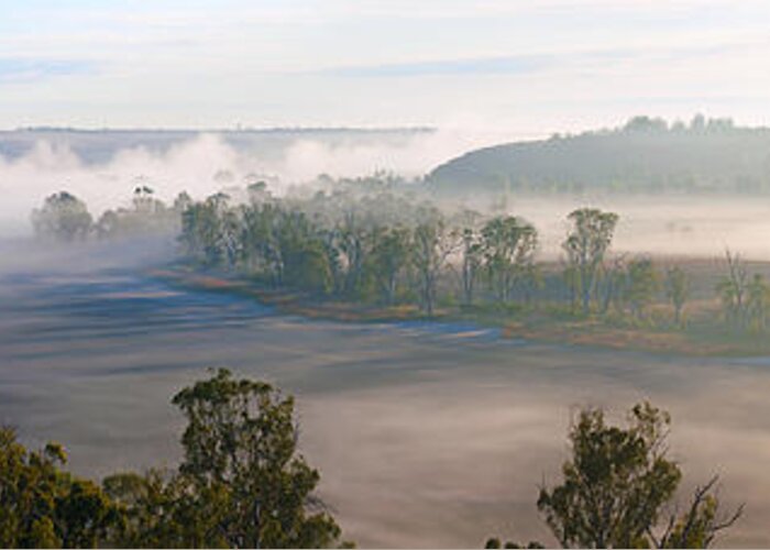 Mist Misty Morning Murray River Walker Flat South Australia Landscape Australian Pano Panorama Billabong Oxbow Lake Gum Trees Greeting Card featuring the photograph Misty Morning on the Murray by Bill Robinson