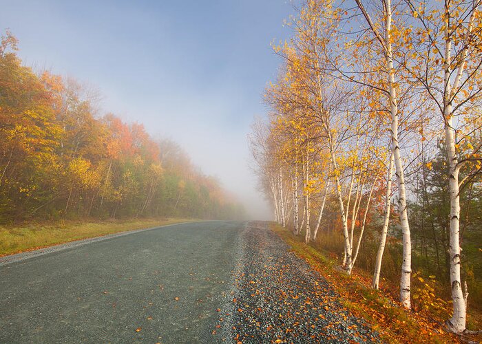 Autumn Greeting Card featuring the photograph Misty Morning Road by Irwin Barrett