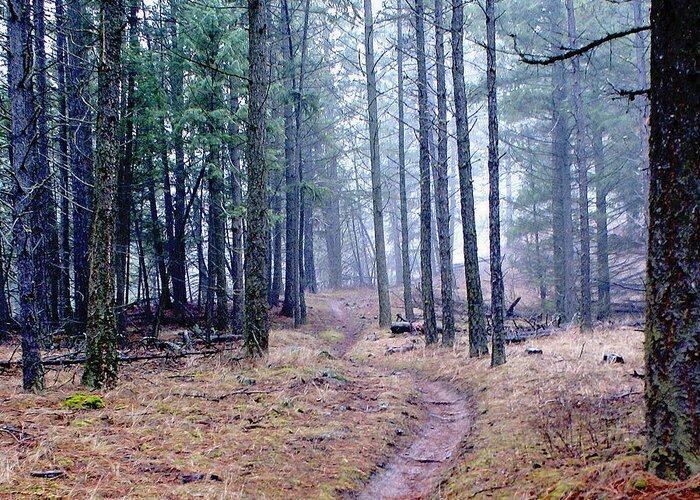 Nature Greeting Card featuring the photograph Misty Morning Trail in the Woods by Ben Upham III
