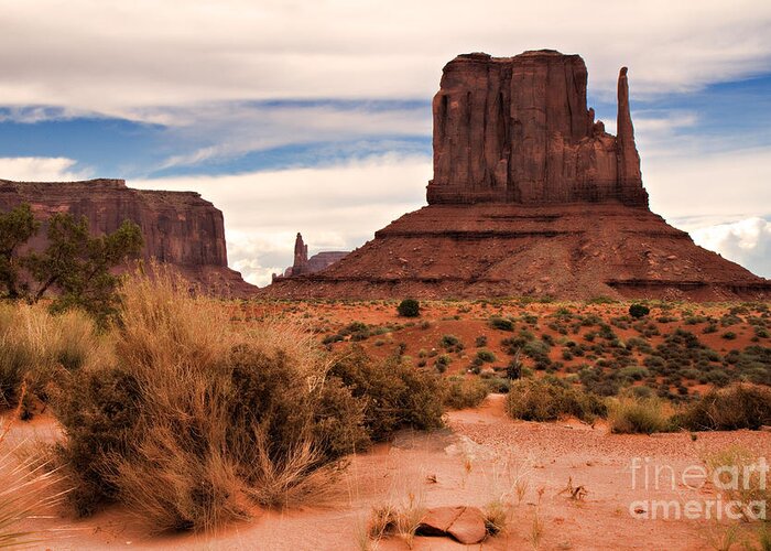 Arizona Greeting Card featuring the photograph Mitten View by Lana Trussell