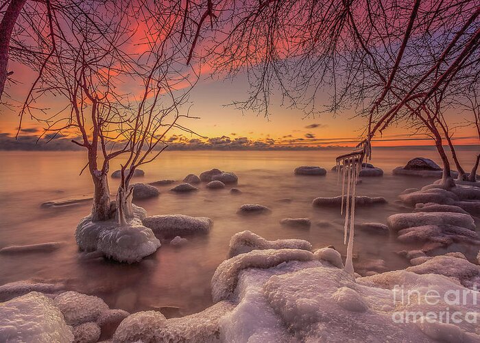 Branches Greeting Card featuring the photograph MKE Freeze by Andrew Slater