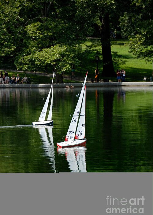 Boat Greeting Card featuring the photograph Model Boats Central Park New York by Amy Cicconi