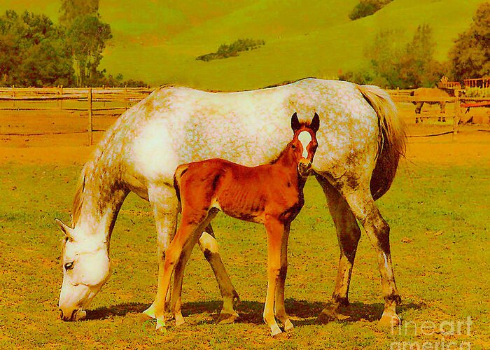 Horse Greeting Card featuring the painting Mom and Me by Joyce Creswell