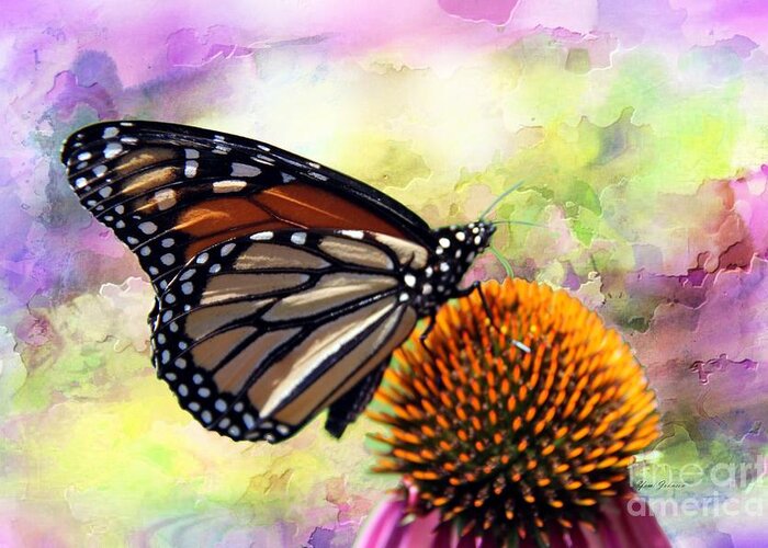 Monarch Greeting Card featuring the photograph Monarch abstract by Yumi Johnson